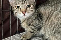 LUCY